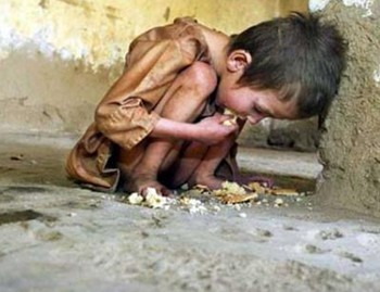 Cada día mueren 300 niños (a) por desnutrición